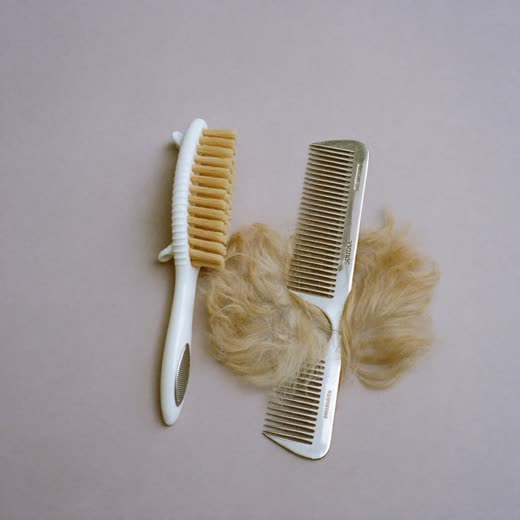A slicker brush and comb with brushed-out fur